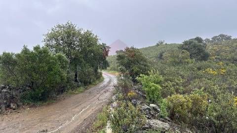 Terreno Rústico  Venda em Alcoutim e Pereiro,Alcoutim