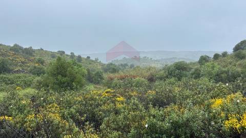 Terreno Rústico  Venda em Alcoutim e Pereiro,Alcoutim