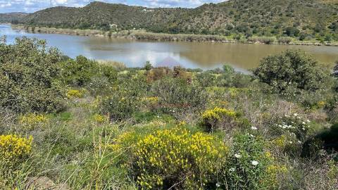Terreno Rústico  Venda em Alcoutim e Pereiro,Alcoutim