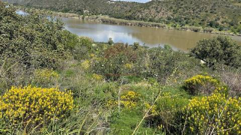 Terreno Rústico  Venda em Alcoutim e Pereiro,Alcoutim