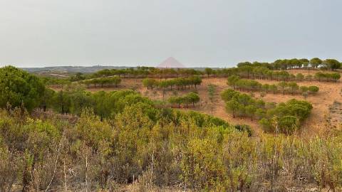 Terreno Rústico  Venda em Alcoutim e Pereiro,Alcoutim