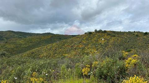 Terreno Rústico  Venda em Alcoutim e Pereiro,Alcoutim