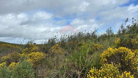 Terreno Rústico  Venda em Alcoutim e Pereiro,Alcoutim