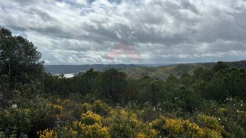 Terreno Rústico  Venda em Alcoutim e Pereiro,Alcoutim