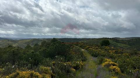 Terreno Rústico  Venda em Alcoutim e Pereiro,Alcoutim