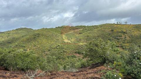 Terreno Rústico  Venda em Alcoutim e Pereiro,Alcoutim
