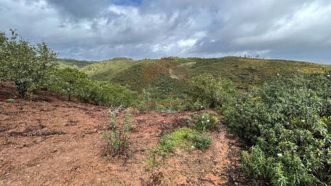 Terreno Rústico  Venda em Alcoutim e Pereiro,Alcoutim