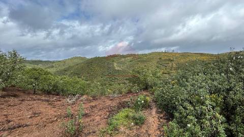 Terreno Rústico  Venda em Alcoutim e Pereiro,Alcoutim