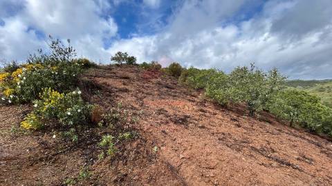 Terreno Rústico  Venda em Alcoutim e Pereiro,Alcoutim