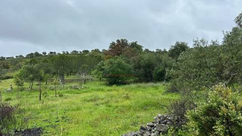 Terreno Rústico  Venda em Alcoutim e Pereiro,Alcoutim