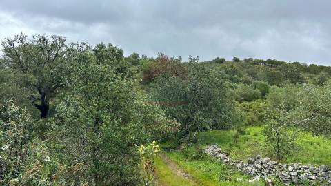 Terreno Rústico  Venda em Alcoutim e Pereiro,Alcoutim