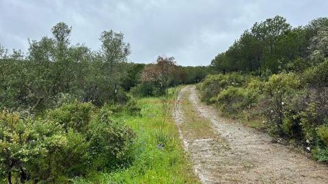 Terreno Rústico  Venda em Alcoutim e Pereiro,Alcoutim