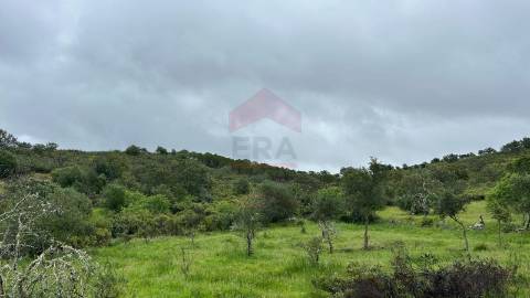 Terreno Rústico  Venda em Alcoutim e Pereiro,Alcoutim