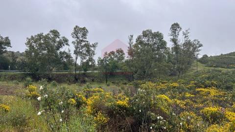 Terreno Rústico  Venda em Alcoutim e Pereiro,Alcoutim