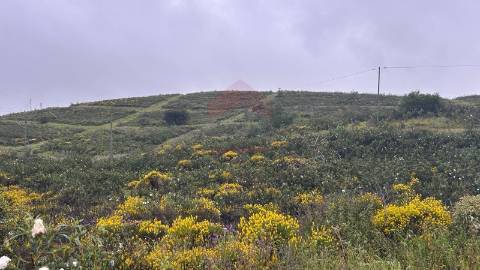 Terreno Rústico  Venda em Alcoutim e Pereiro,Alcoutim