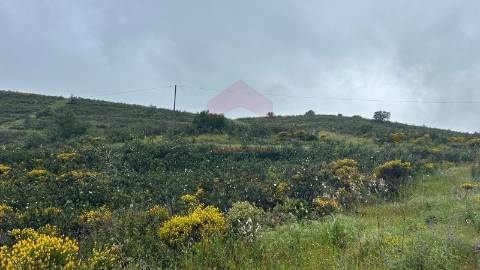 Terreno Rústico  Venda em Alcoutim e Pereiro,Alcoutim
