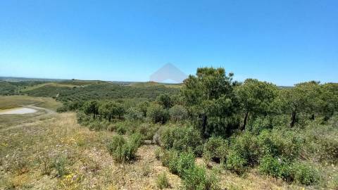 Terreno Rústico  Venda em Castro Marim,Castro Marim