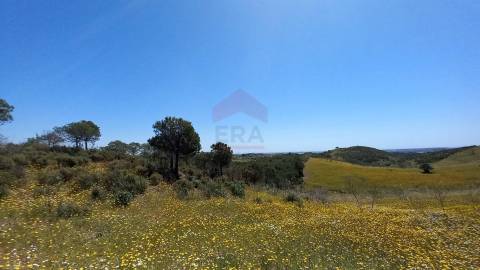 Terreno Rústico  Venda em Castro Marim,Castro Marim