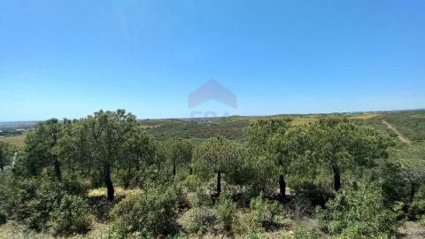 Terreno Rústico  Venda em Castro Marim,Castro Marim