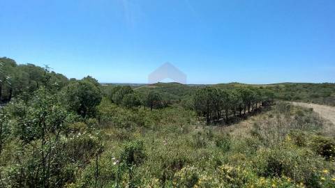 Terreno Rústico  Venda em Castro Marim,Castro Marim