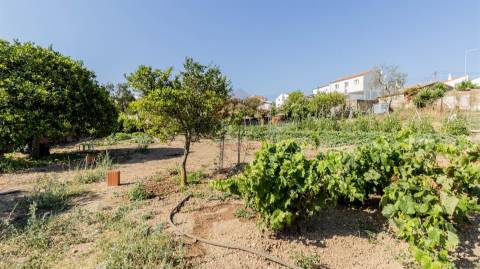 Arrecadação  Venda em Alcoutim e Pereiro,Alcoutim