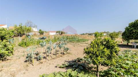 Arrecadação  Venda em Alcoutim e Pereiro,Alcoutim