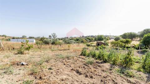 Arrecadação  Venda em Alcoutim e Pereiro,Alcoutim