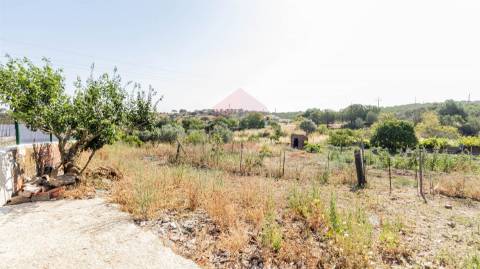 Arrecadação  Venda em Alcoutim e Pereiro,Alcoutim
