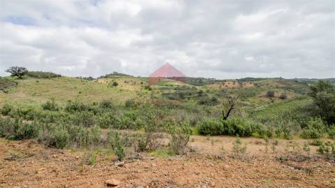 Terreno Rústico  Venda em Odeleite,Castro Marim