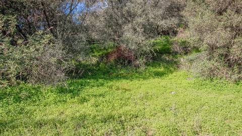 terreno em alcoutim com bons acessos para venda