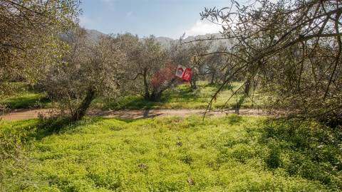 terreno em alcoutim com bons acessos para venda