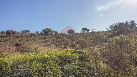 terreno em alcoutim  murado com bons acessos para venda