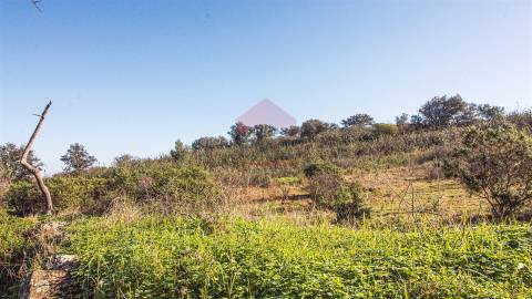 terreno em alcoutim  murado com bons acessos para venda
