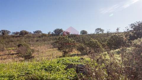 terreno em alcoutim  murado com bons acessos para venda