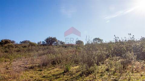 terreno em alcoutim  murado com bons acessos para venda