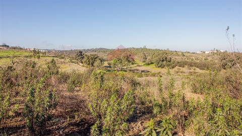 terreno em alcoutim  murado com bons acessos para venda