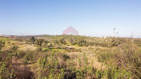 terreno em alcoutim  murado com bons acessos para venda