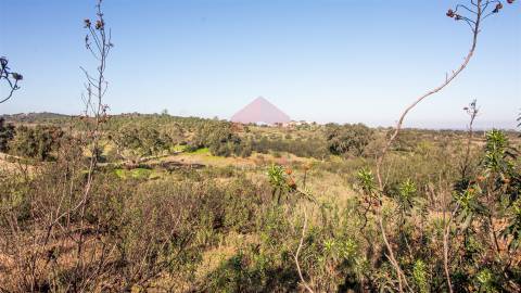 terreno em alcoutim  murado com bons acessos para venda