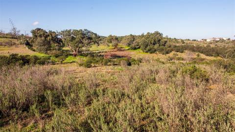terreno em alcoutim  murado com bons acessos para venda
