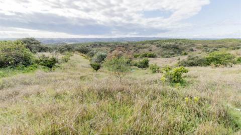 terreno  com ruina em azinhal com bons acessos para venda
