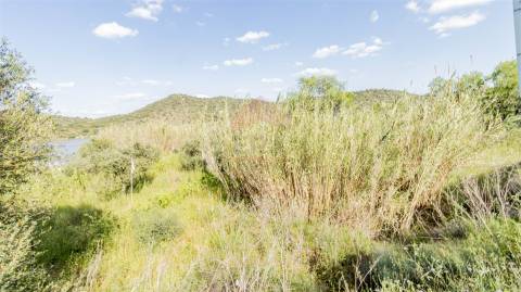 Terreno  Venda em Alcoutim e Pereiro,Alcoutim