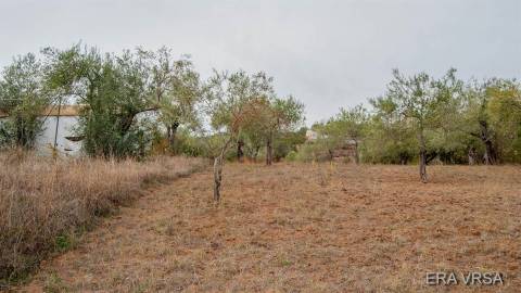 Terreno em Álamo, Alcoutim. Com uma área de 480 m2