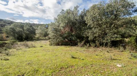Terreno rústico em Álamo, Alcoutim