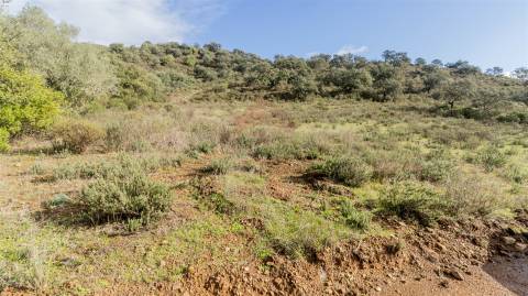 Terreno rústico em Álamo, Alcoutim
