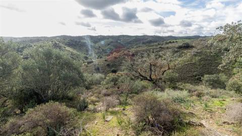 Terreno rústico com 8520 m2 , em Alcoutim