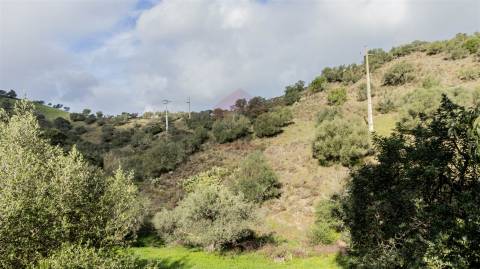 Terreno rústico com 7240 m2, Alcoutim