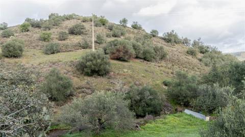 Terreno rústico com 7240 m2, Alcoutim