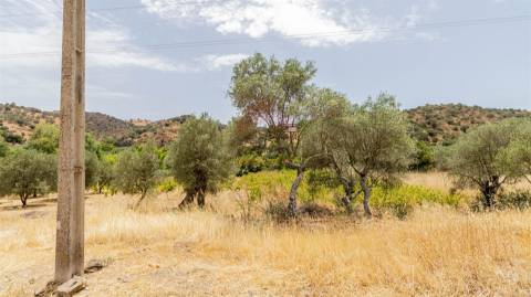 Terreno Rústico  Venda em Alcoutim e Pereiro,Alcoutim