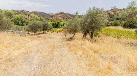 Terreno Rústico  Venda em Alcoutim e Pereiro,Alcoutim