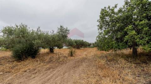 Terreno Rústico  Venda em Odeleite,Castro Marim